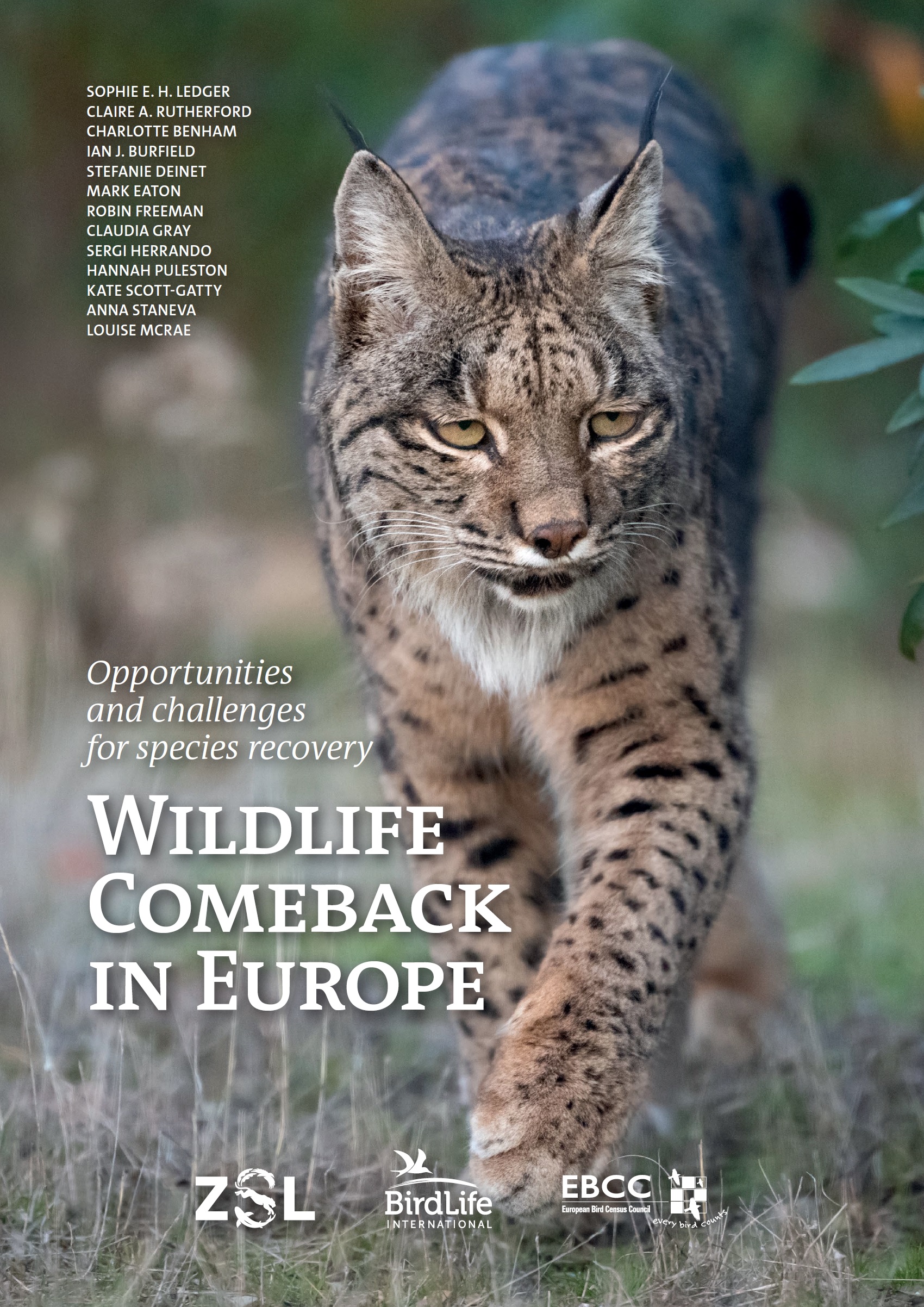 European wildlife comeback: a new report that shows how species return ...