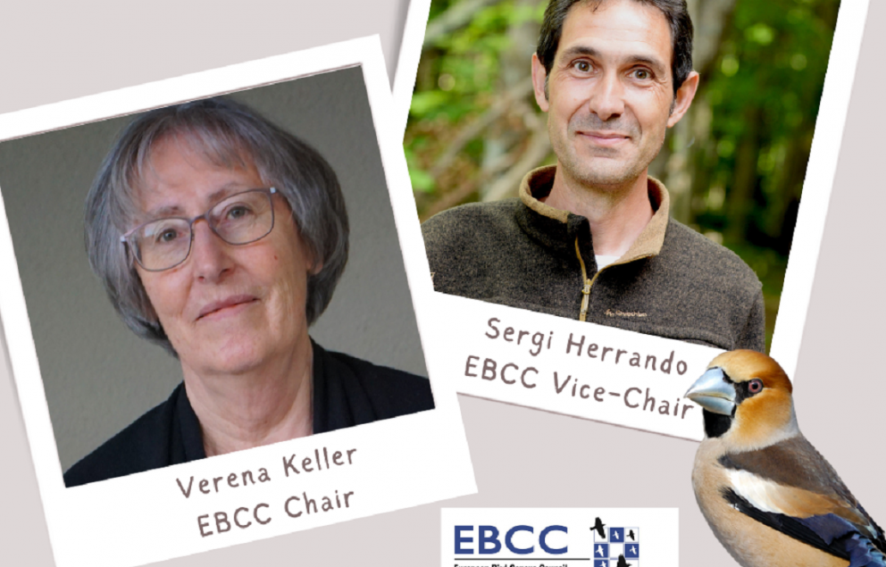 New EBCC Chair and Vice-chair | EBCC - EBCC