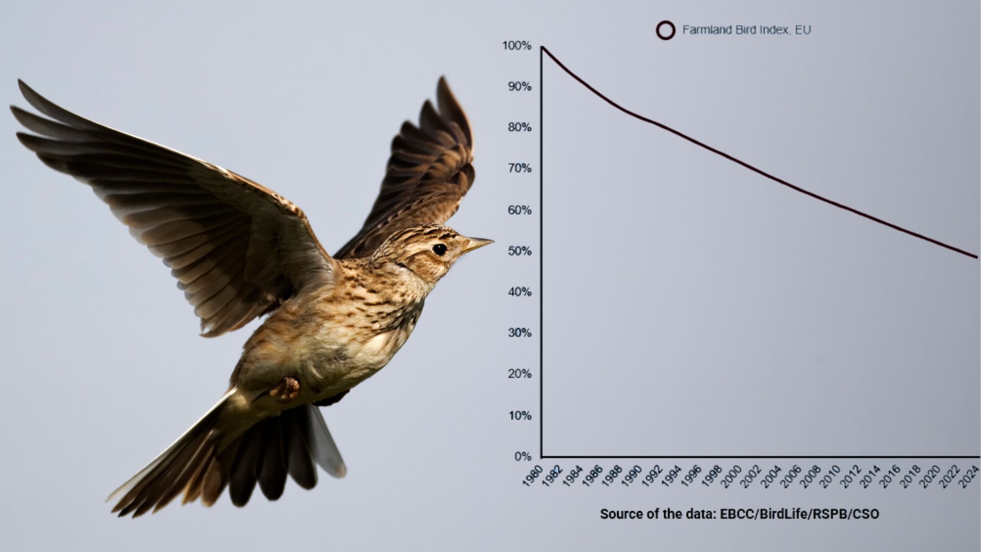 EBCC Statement on the role of the Farmland Bird Indicator (FBI) in ...