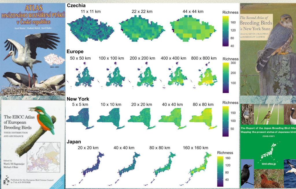Spatial autocorrelation of species diversity and distributions in time ...